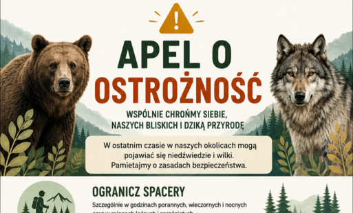 grafika przedstawia niedzwiedzia wilka i apel o ostrożność